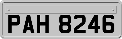 PAH8246