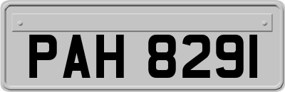 PAH8291