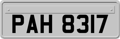 PAH8317