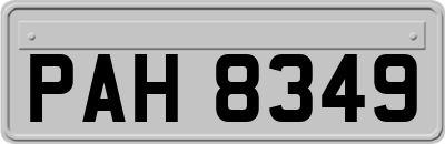 PAH8349