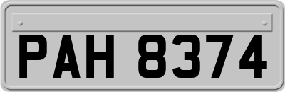 PAH8374