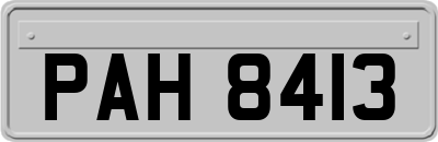 PAH8413