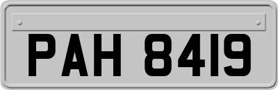 PAH8419