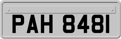 PAH8481