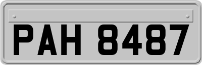 PAH8487