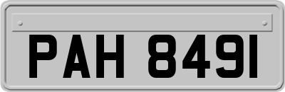 PAH8491