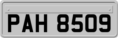 PAH8509