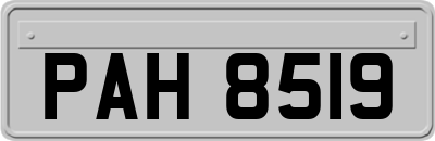 PAH8519