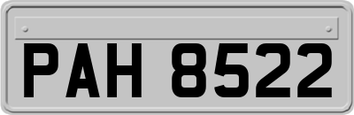 PAH8522