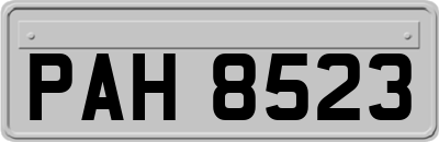 PAH8523