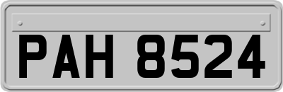 PAH8524