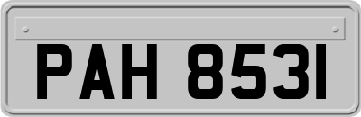 PAH8531