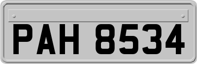 PAH8534