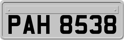 PAH8538