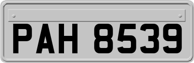 PAH8539