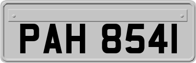 PAH8541