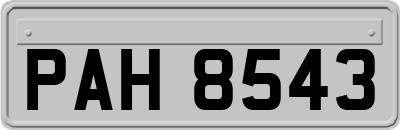 PAH8543