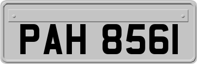 PAH8561