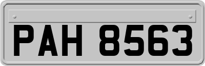 PAH8563