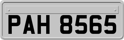 PAH8565