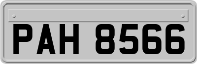 PAH8566
