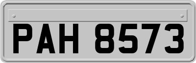 PAH8573