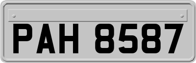 PAH8587