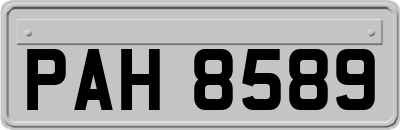PAH8589