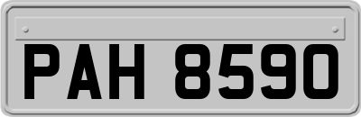 PAH8590
