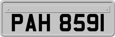 PAH8591