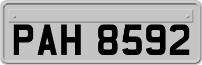 PAH8592