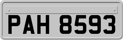 PAH8593