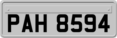 PAH8594