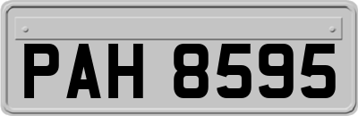 PAH8595