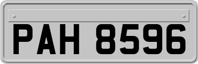 PAH8596