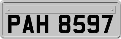 PAH8597