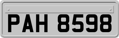 PAH8598