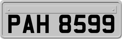 PAH8599