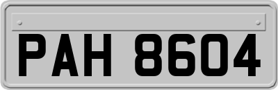 PAH8604