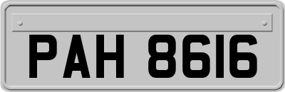 PAH8616