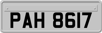 PAH8617
