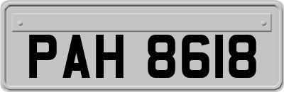 PAH8618