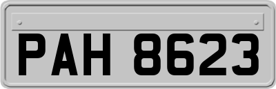PAH8623