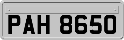 PAH8650