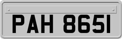 PAH8651