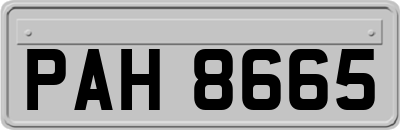 PAH8665