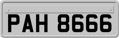 PAH8666
