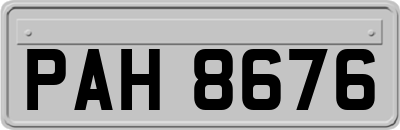 PAH8676