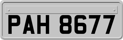 PAH8677