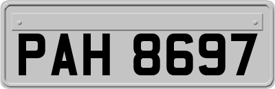 PAH8697